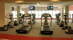 Lifestyle palace fitness